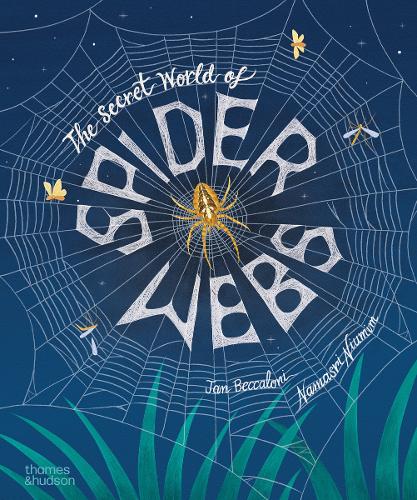 The Secret World of Spider Webs by Jan Beccaloni