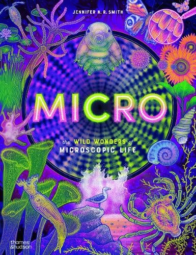 Micro