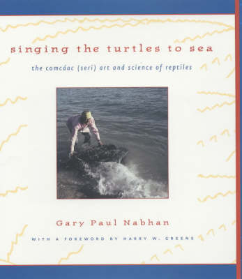 Singing the Turtles to Sea