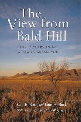 The View from Bald Hill
