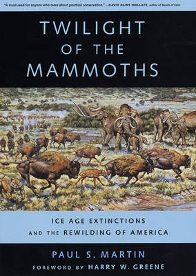 Twilight of the Mammoths