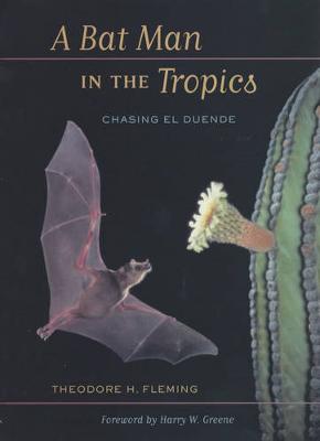 A Bat Man in the Tropics