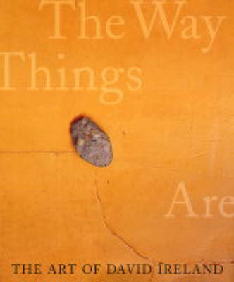 The Art of David Ireland