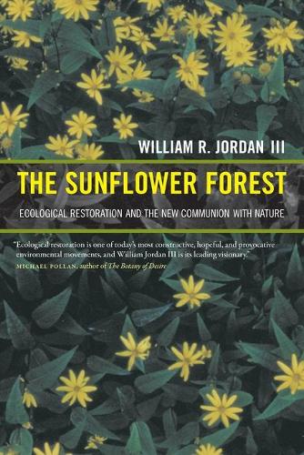 The Sunflower Forest