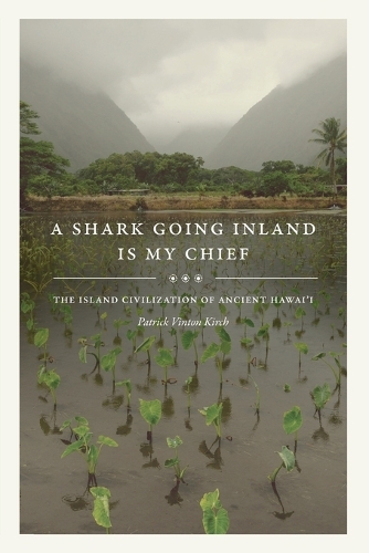 A Shark Going Inland Is My Chief