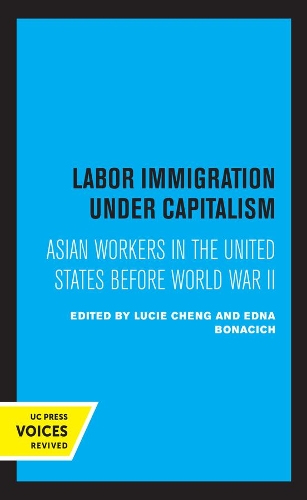 Labor Immigration under Capitalism