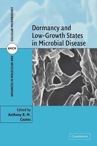 Dormancy and Low Growth States in Microbial Disease