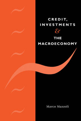 Credit, Investments and the Macroeconomy