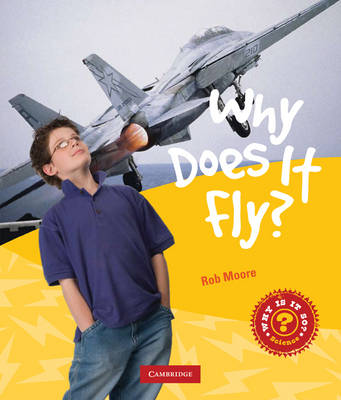 Why Does it Fly?