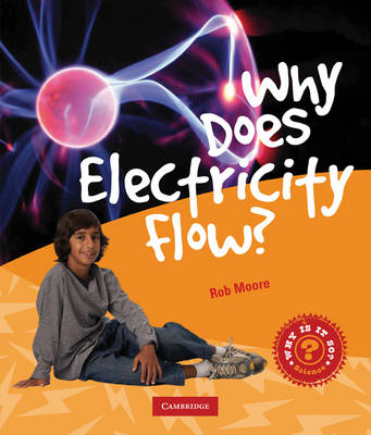 Why Does Electricity Flow?