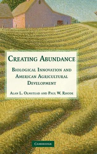 Creating Abundance