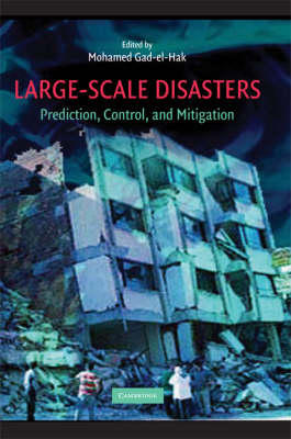 Large-Scale Disasters