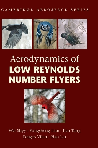 Aerodynamics of Low Reynolds Number Flyers