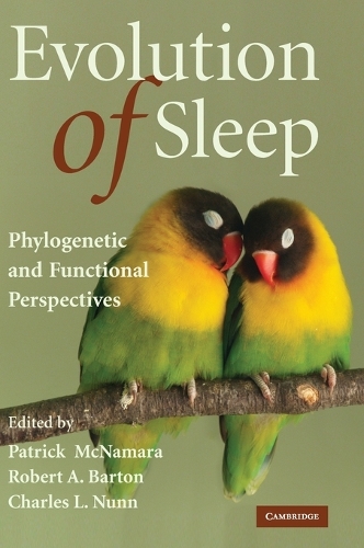 Evolution of Sleep