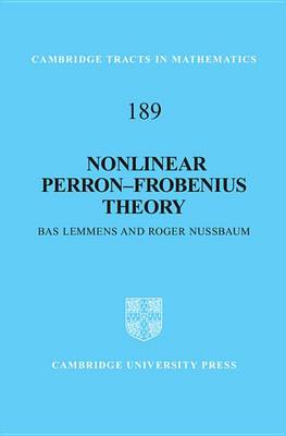 Nonlinear Perron–Frobenius Theory