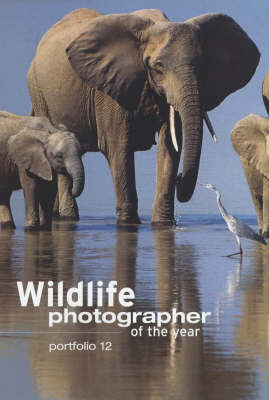 Wildlife Photographer of the Year: Portfolio 12