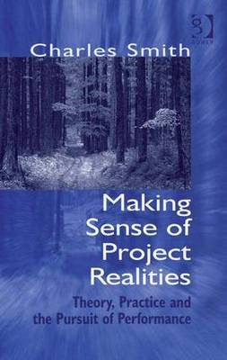 Making Sense of Project Realities