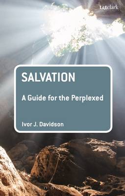 Salvation: A Guide for the Perplexed
