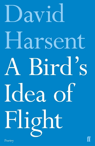 A Bird's Idea of Flight