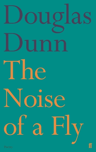 The Noise of a Fly