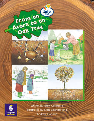 Did Vikings Eat Chips? Info Trail Emergent Stage Non-Fiction Book 16