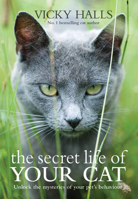 The Secret Life of Your Cat