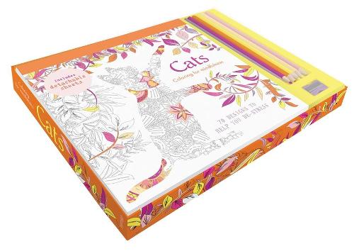 Cats coloring kit