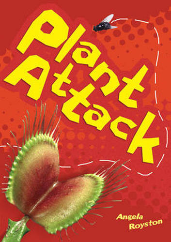 Pocket Reads Year 2 Singles Pack