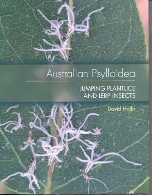 Australian Psylloidea Jumping Plantlice and Lerp Insects