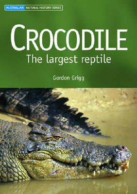 Crocodile