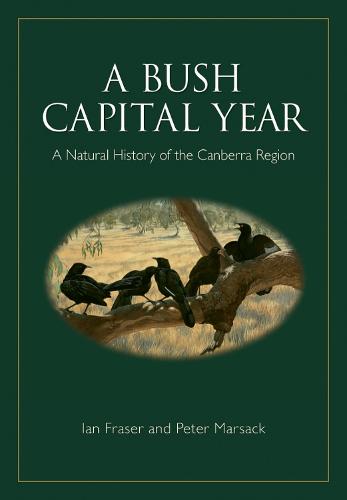 A Bush Capital Year