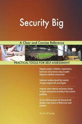 Security Big a Clear and Concise Reference
