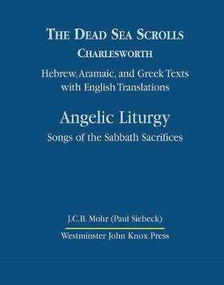 The Dead Sea Scrolls, Volume 4B