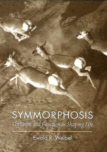 Symmorphosis