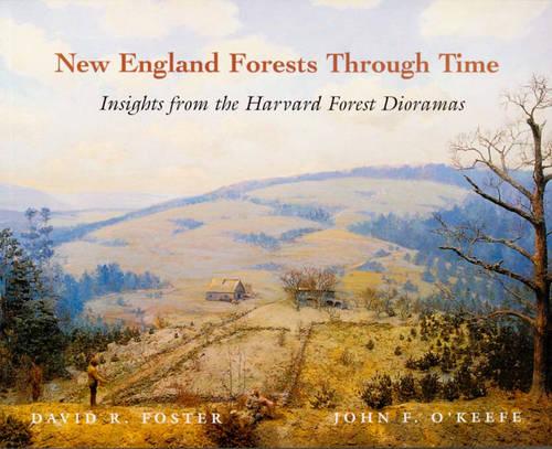 New England Forests Through Time