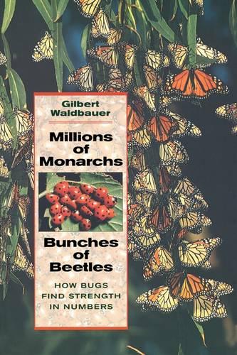 Millions of Monarchs, Bunches of Beetles