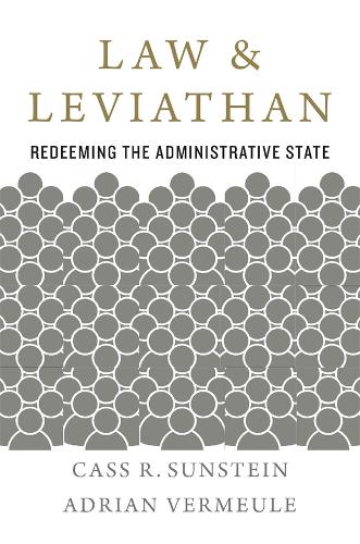 Law and Leviathan