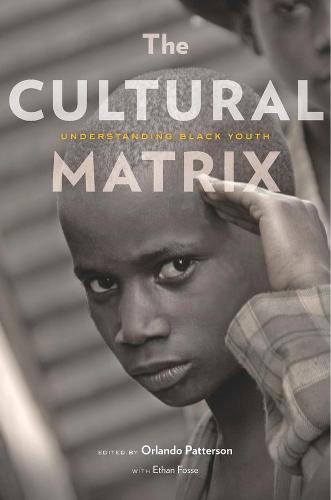 The Cultural Matrix