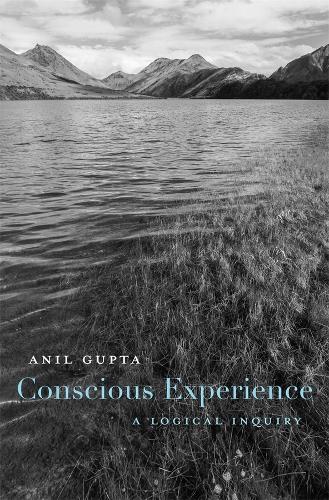 Conscious Experience