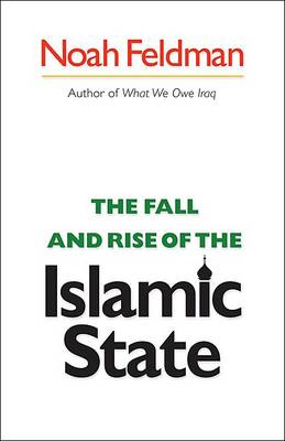The Fall and Rise of the Islamic State