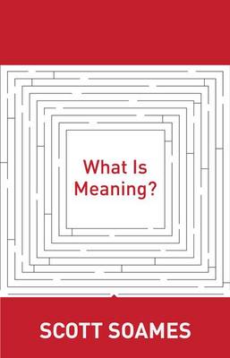 What is Meaning?