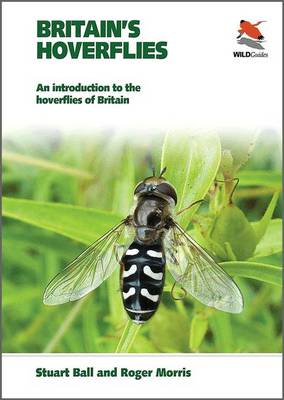 Britain's Hoverflies
