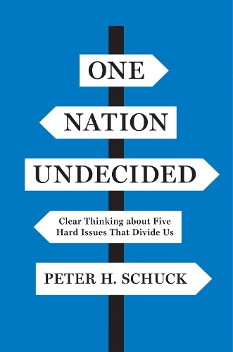 One Nation Undecided