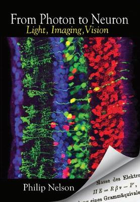 From Photon to Neuron