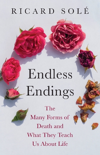 Endless Endings