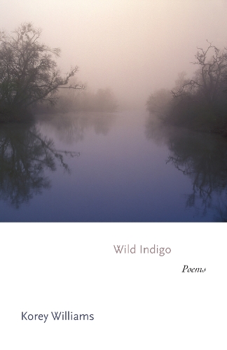 Wild Indigo