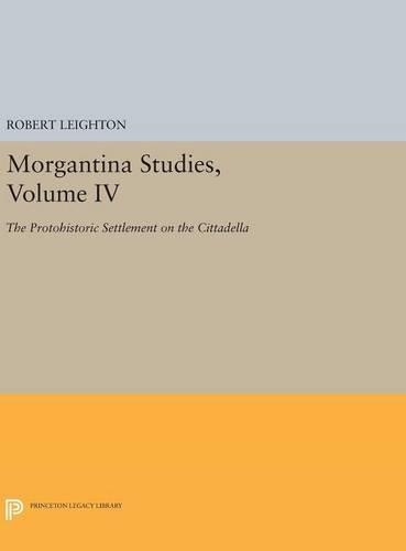 Morgantina Studies, Volume IV