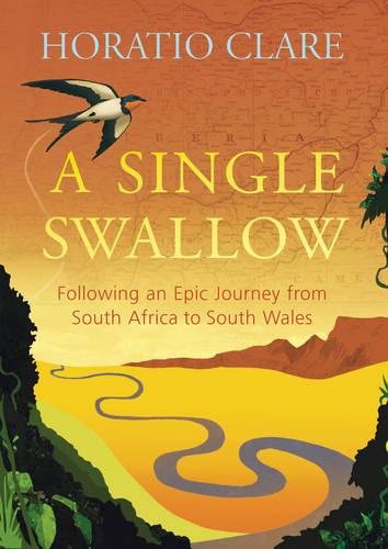 Single Swallow, A Following An Epic Journey From South Africa To