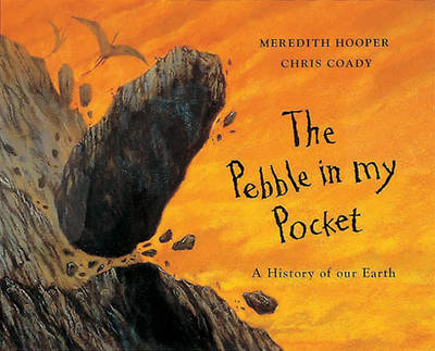 The Pebble in my Pocket