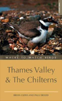 Where to Watch Birds in Thames Valley and the Chilterns